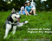 fundacja psom-ludzie fundacji