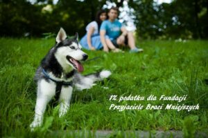 fundacja psom-ludzie fundacji