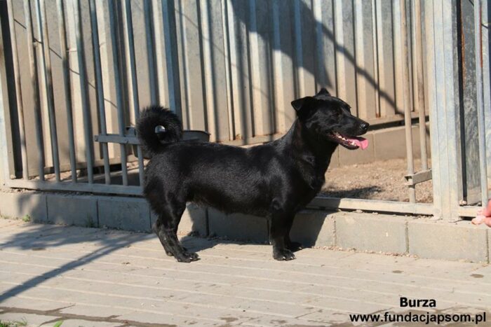 Burza - obrazek 25