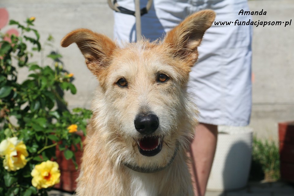 69258100_2550689928307843_3914491184222830592_n