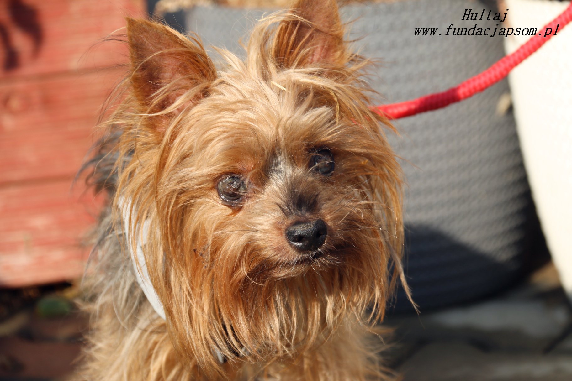 73071316_2668526893190812_1459408854725951488_o