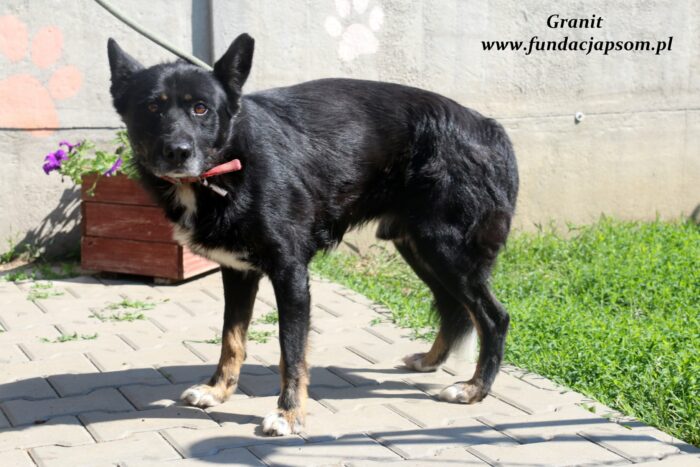 Granit - obrazek 3