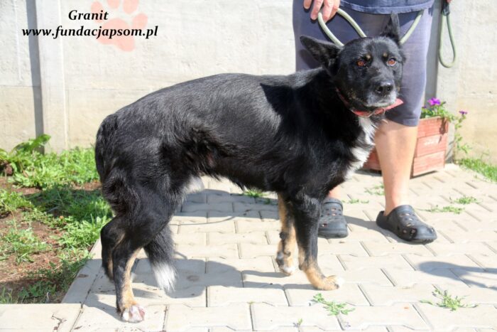 Granit - obrazek 4