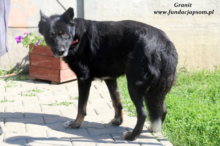 Granit - obrazek 7