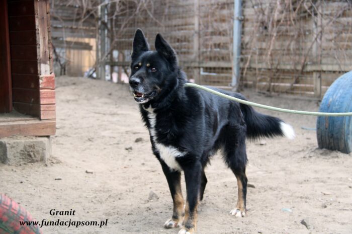 Granit - obrazek 9