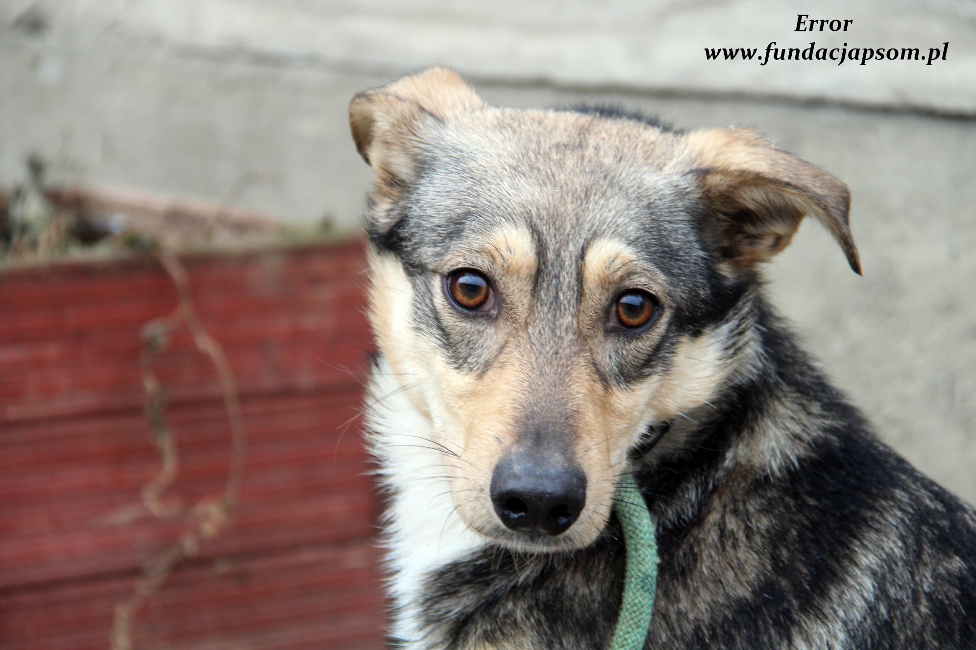 271790677_4986501634726648_5322092795529541609_n