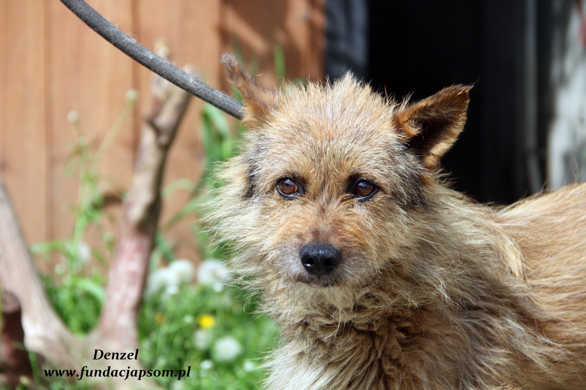 281656386_5369377806439027_917711390104198278_n