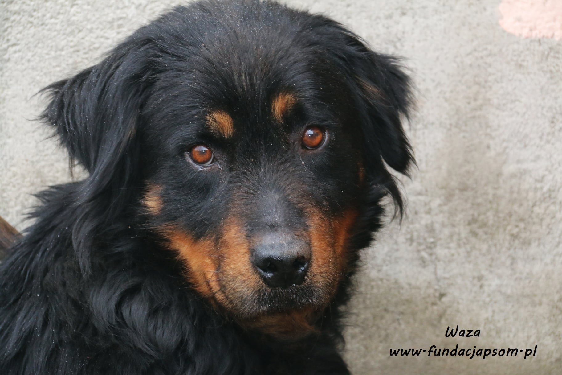 174286833_4126546537388833_7995683868702961685_n