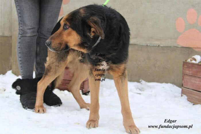 Edgar - obrazek 3