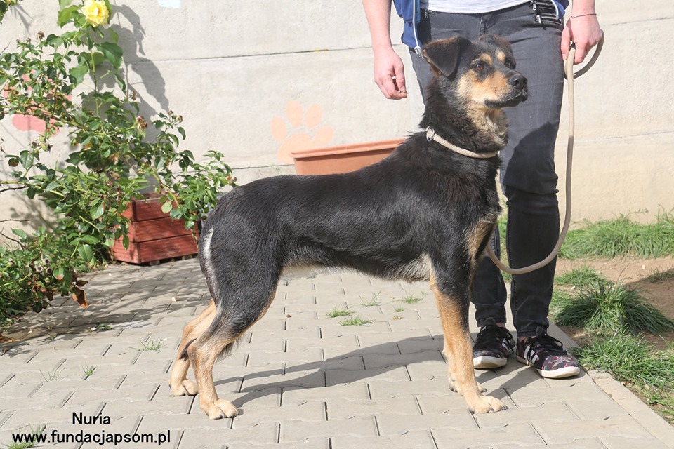 70619143_2595816983795137_7568193272787501056_n