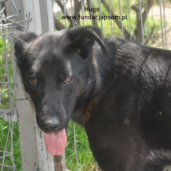 Hugo - obrazek 6