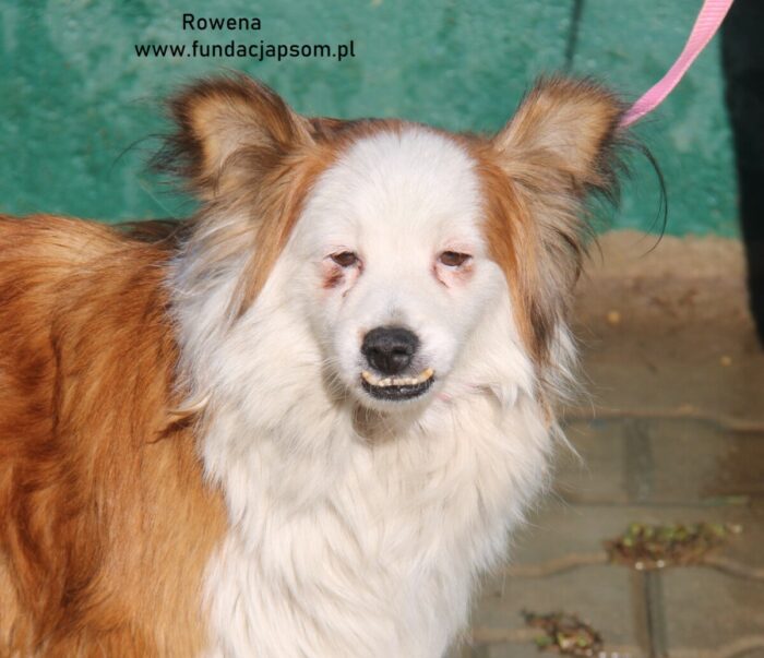 Rowana