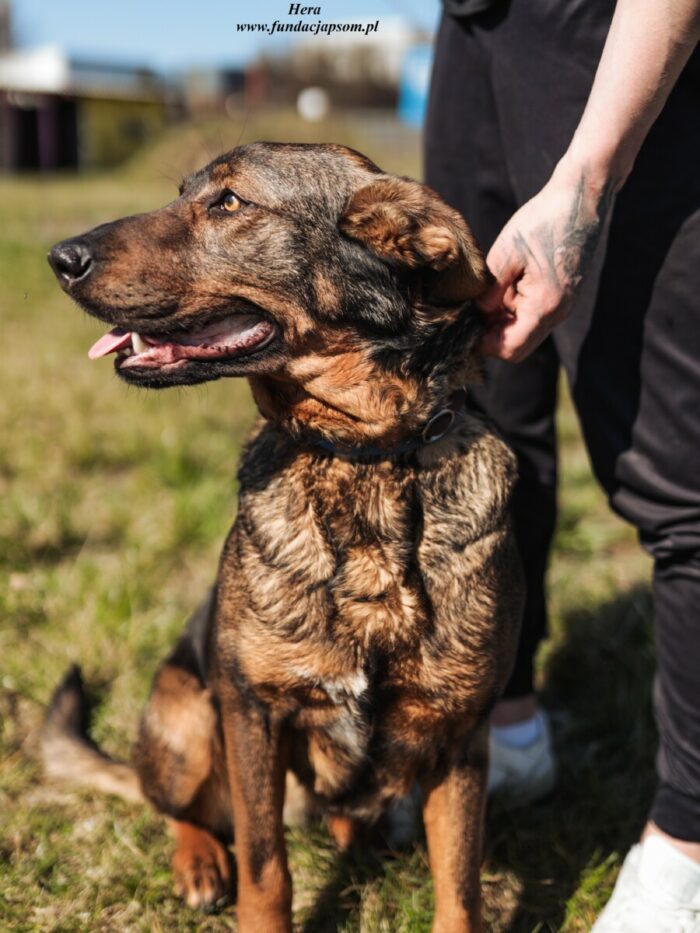Hera