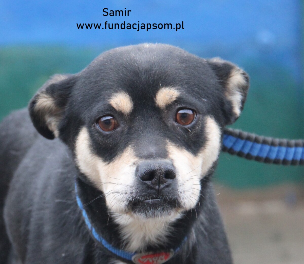 samir