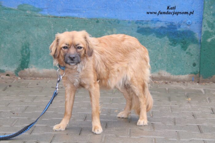 Kati