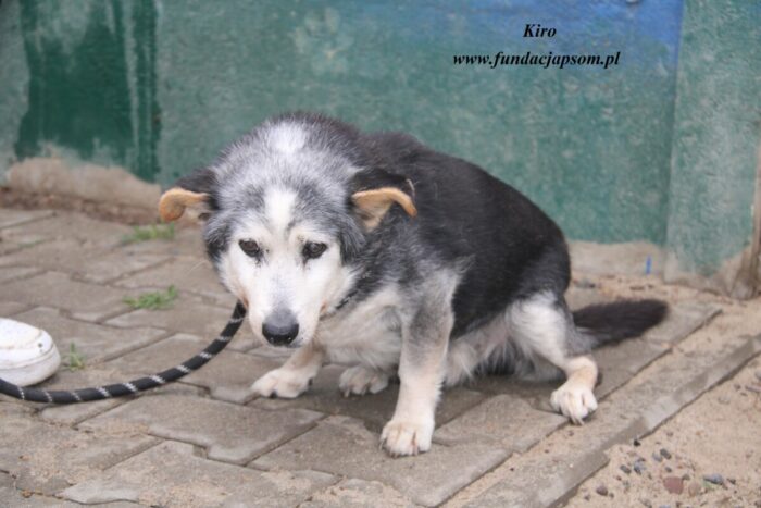Kiro
