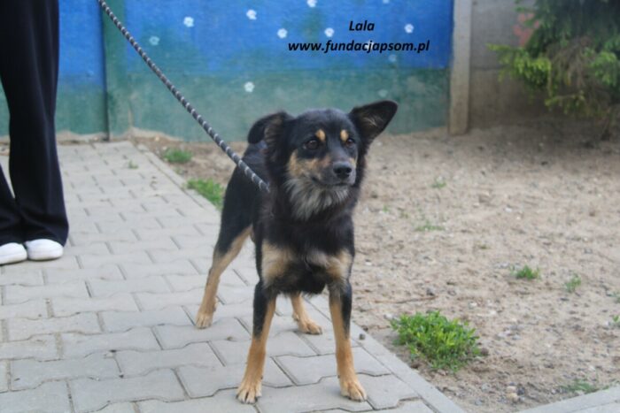 Lala