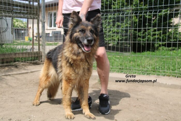 Greta