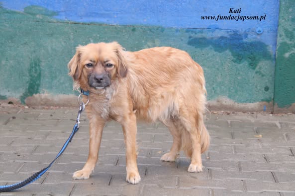 Kati