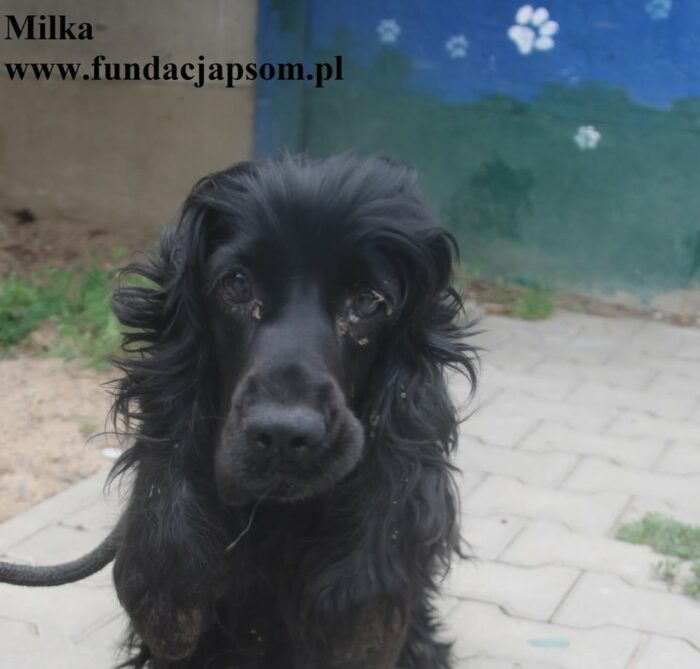 Milka