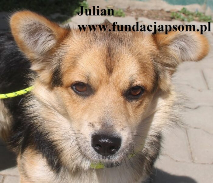 Julian