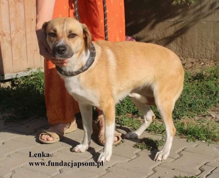 Lenka - obrazek 4