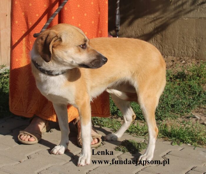Lenka - obrazek 5