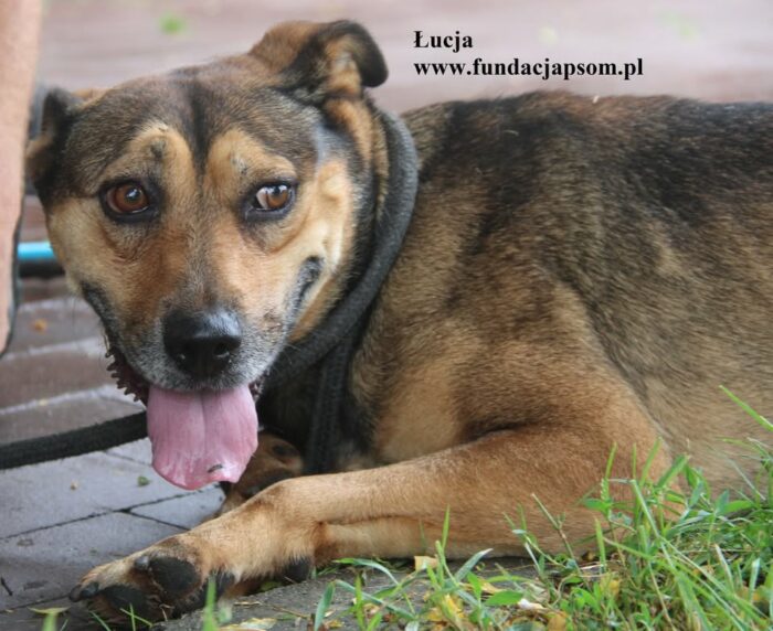 Łucja
