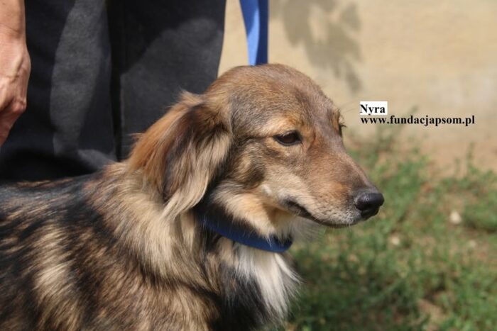 Nyra