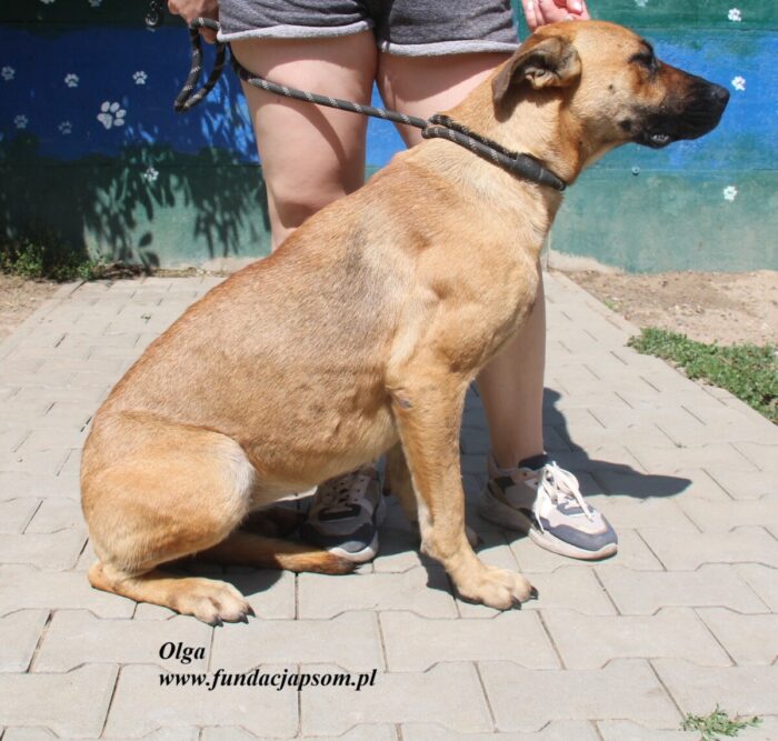 Olga - obrazek 5