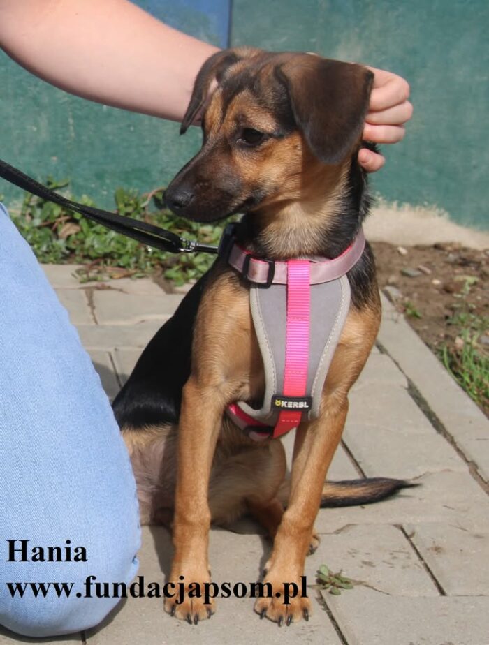 Hania - obrazek 5