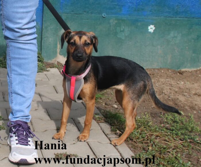 Hania - obrazek 6