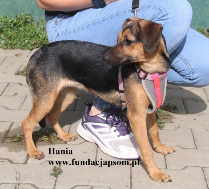 Hania - obrazek 7