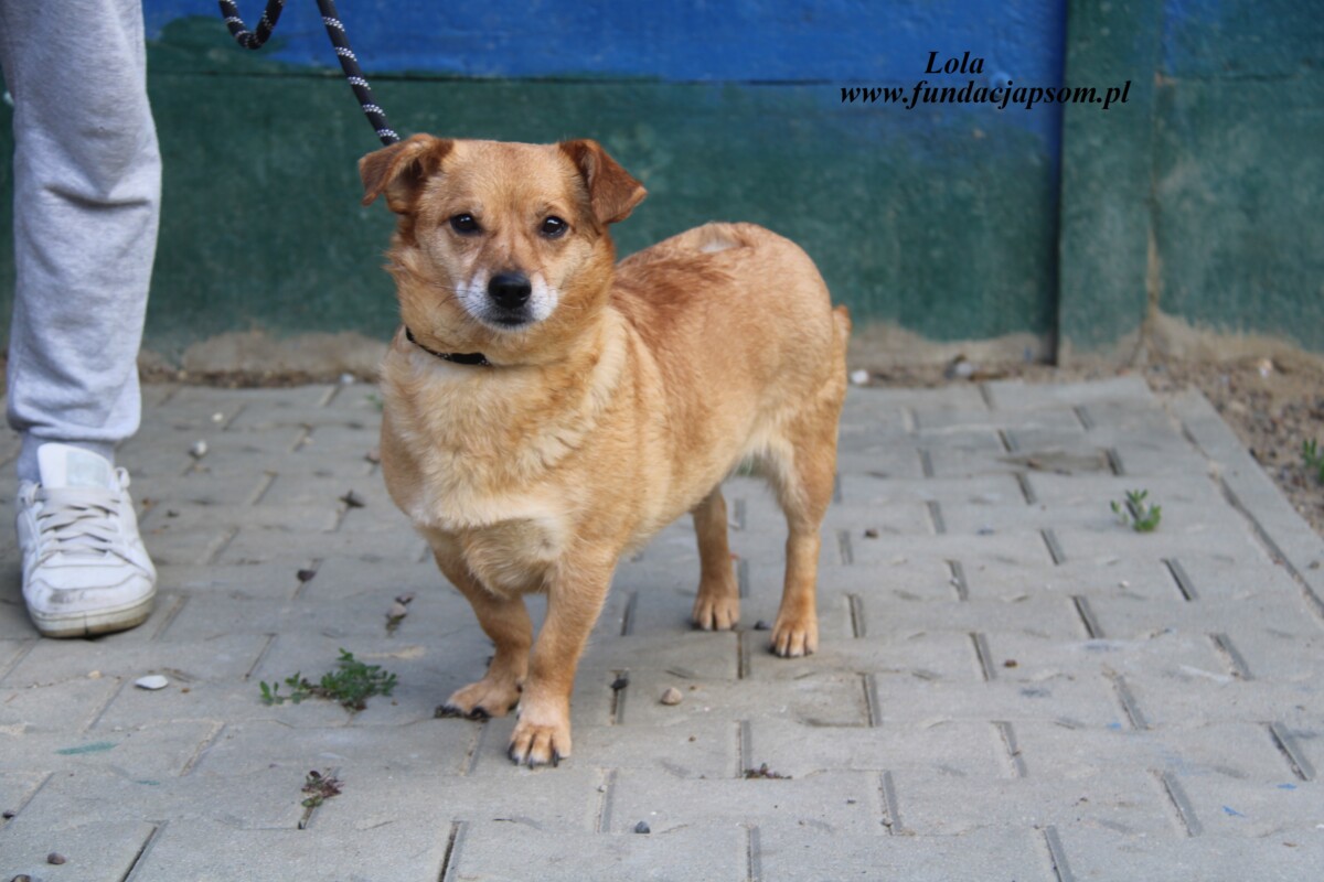 Lola1