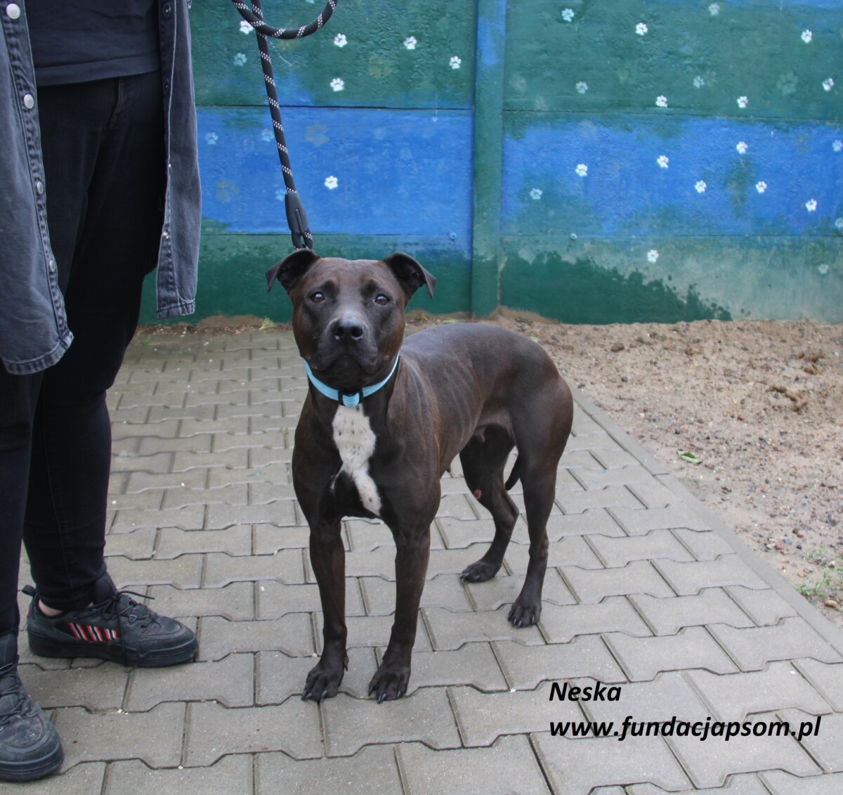 Neska-1