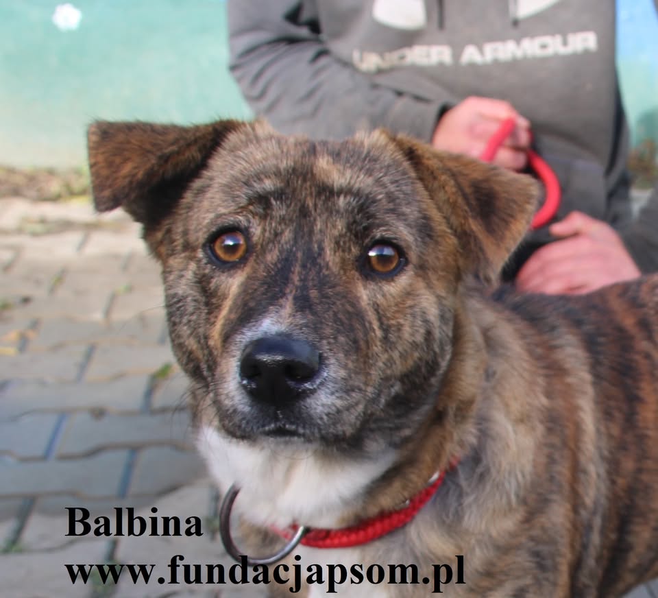 Balbina