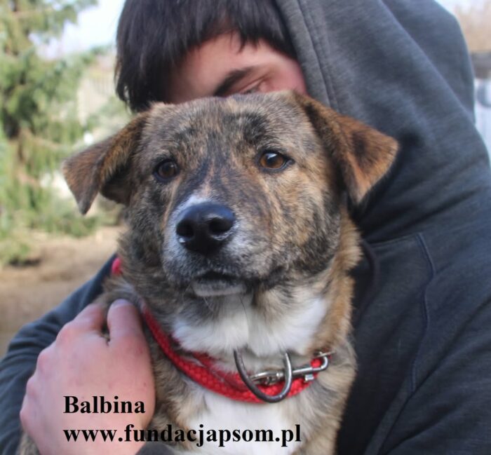 Balbina - obrazek 3