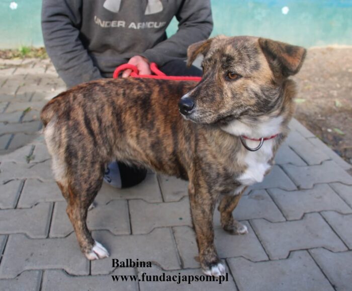 Balbina - obrazek 6