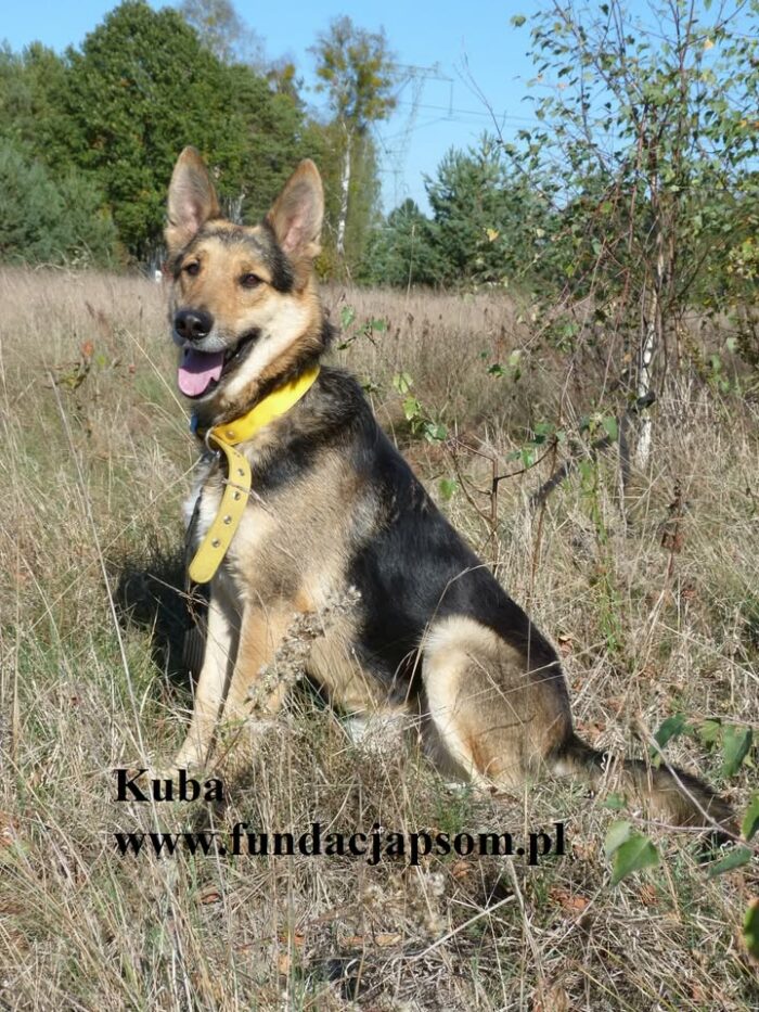 Kuba - obrazek 3