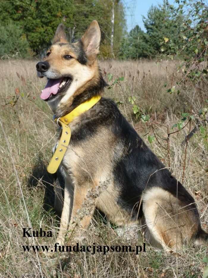 Kuba - obrazek 4