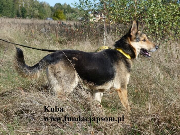 Kuba - obrazek 5