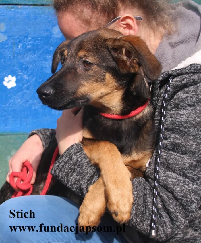 Stich - obrazek 6